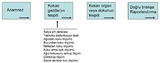 ağız kokusu teşhis algoritması Tıklayınız